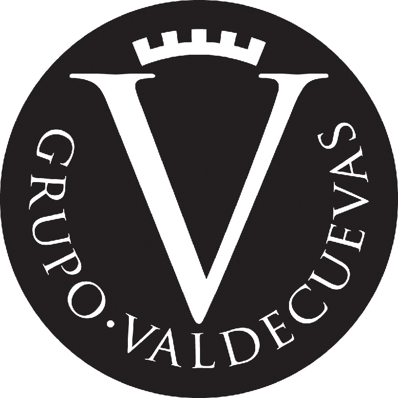 Grupo Valdecuevas